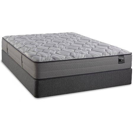 Queen Plush Mattress