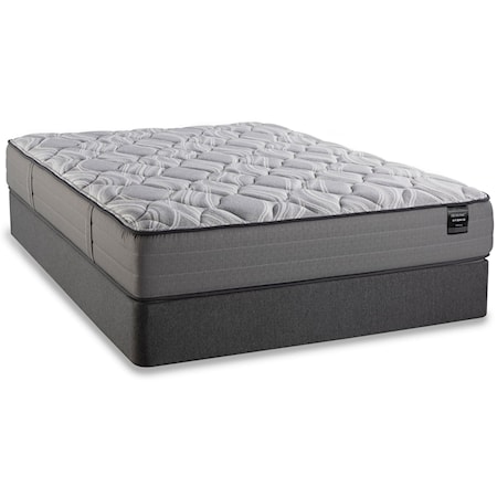Queen Plush Hybrid Mattress