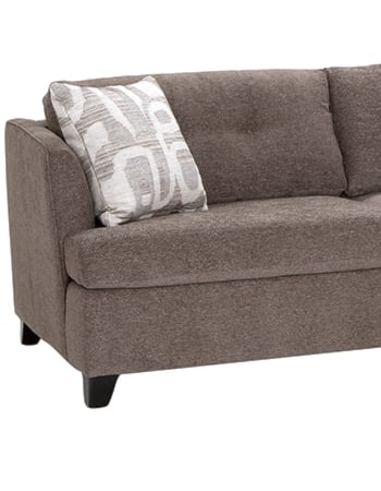 2 PIECE SECTIONAL W/QUEEN SLEEPER