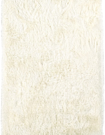 Ivory 5'X7'6" Area Rug